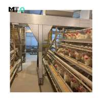 Poultry Farming Equipment a type layer chicken cage with automatic system for sale