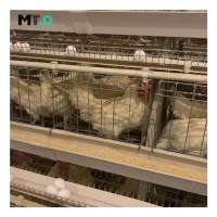 Poultry Farming Equipment a type layer chicken cage with automatic system for sale